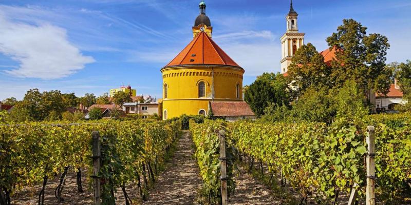 Kam za turistikou v Malých Karpatoch
