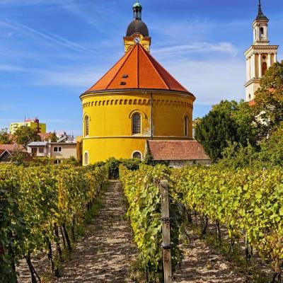 Kam za turistikou v Malých Karpatoch