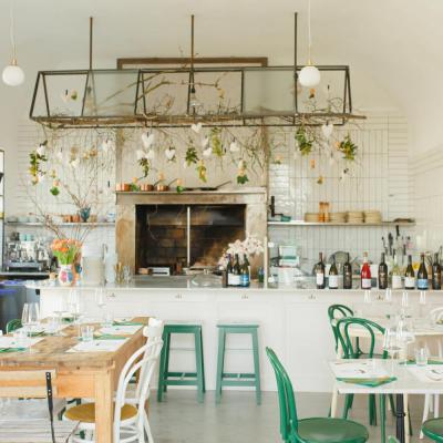 Wild Kitchen